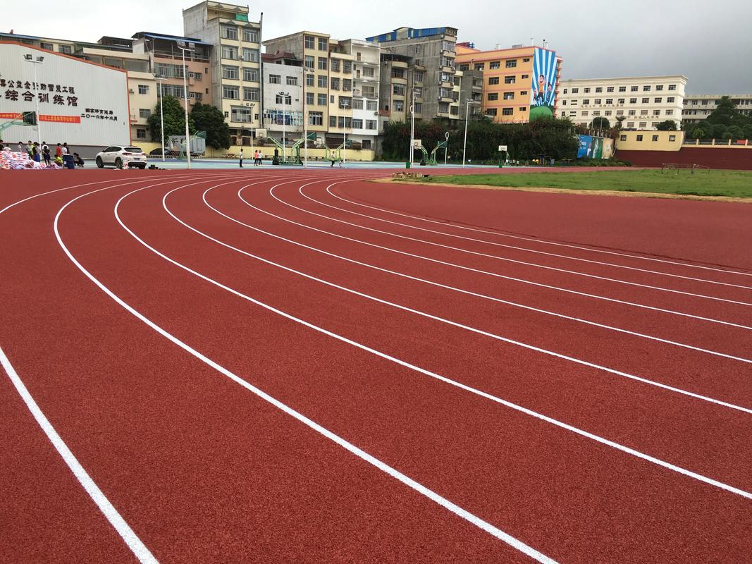 郴州市EPDM颗粒塑胶跑道材料 - 方案